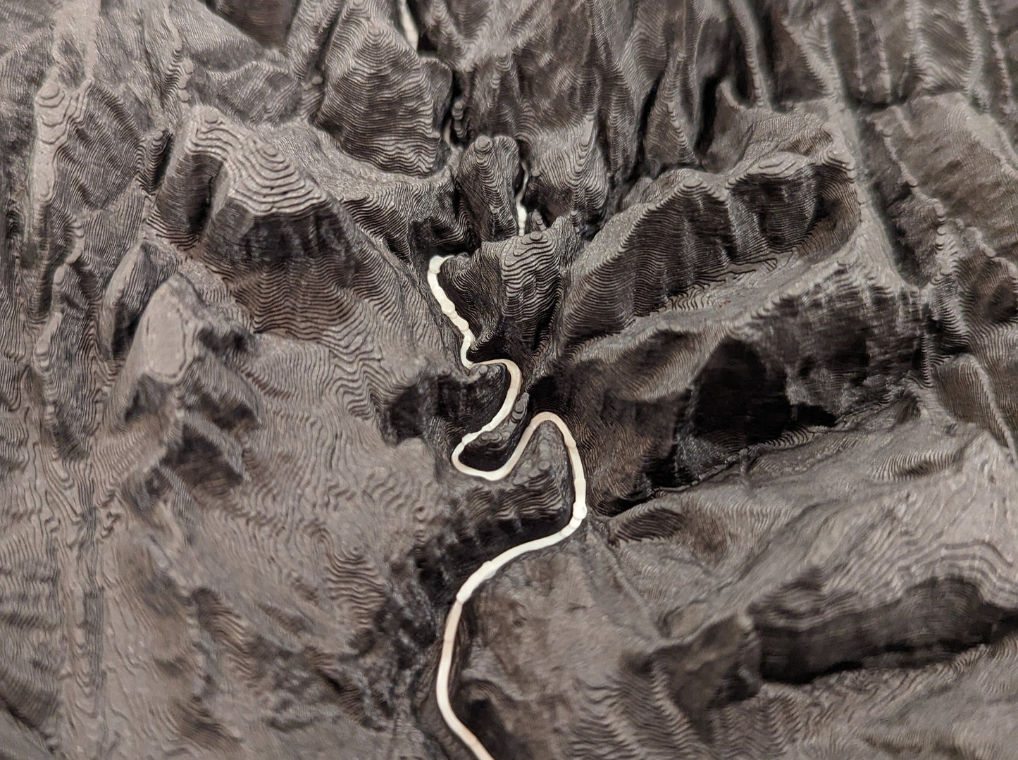 Zion Narrows Bottom Up 3D Topographic Trail Map Wall Art